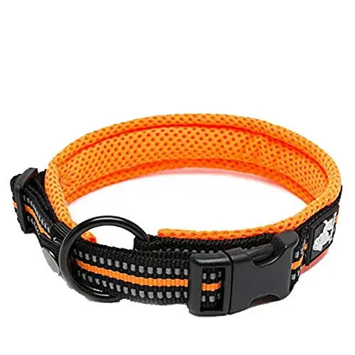 TRUELOVE Adjustable Nylon Dog Collar With Reflective Padded Design