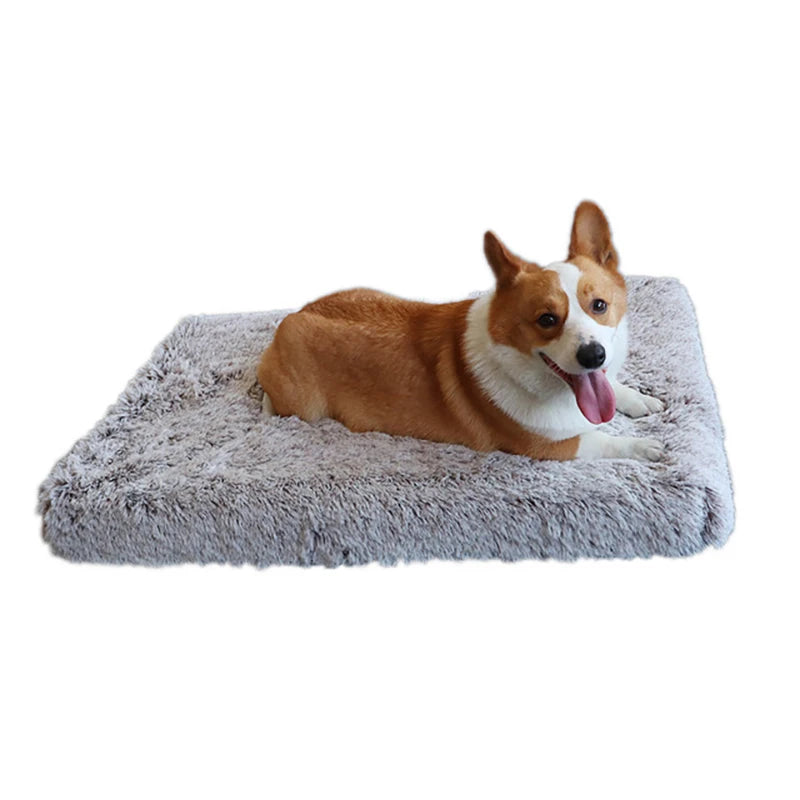Plush Dog Bed Mat For Pets Removable Washable Cover