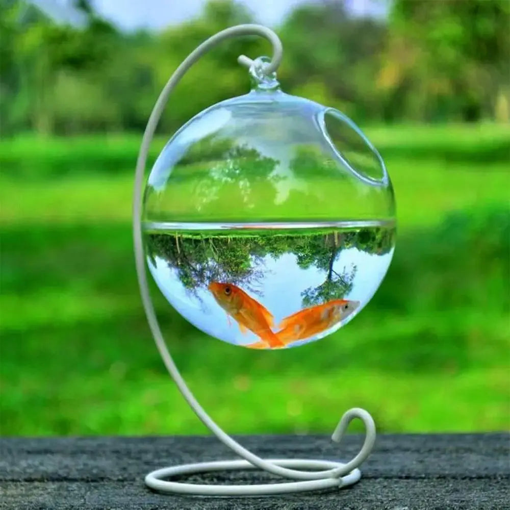 Hanging Glass Fish Bowl With Rack Holder Home Decoration