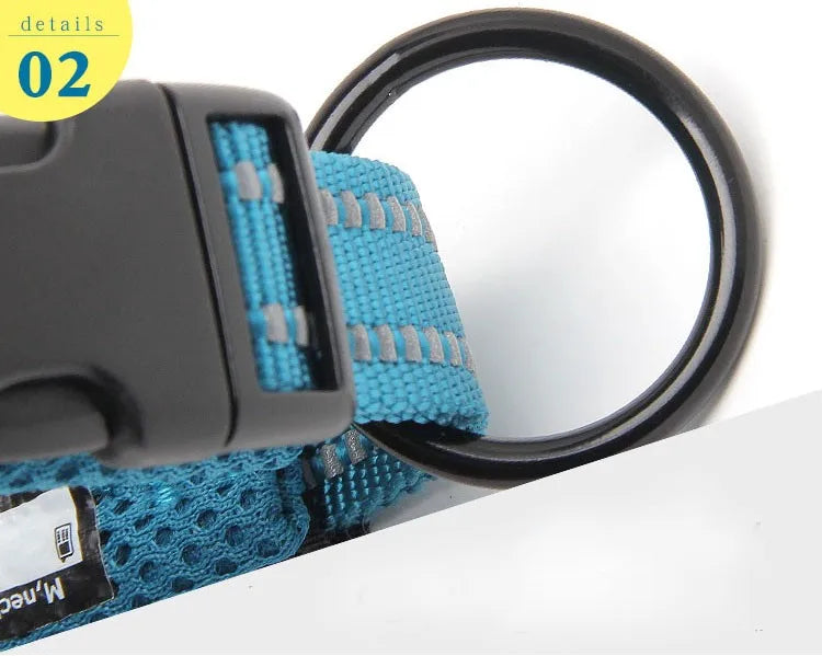 TRUELOVE Adjustable Nylon Dog Collar With Reflective Padded Design