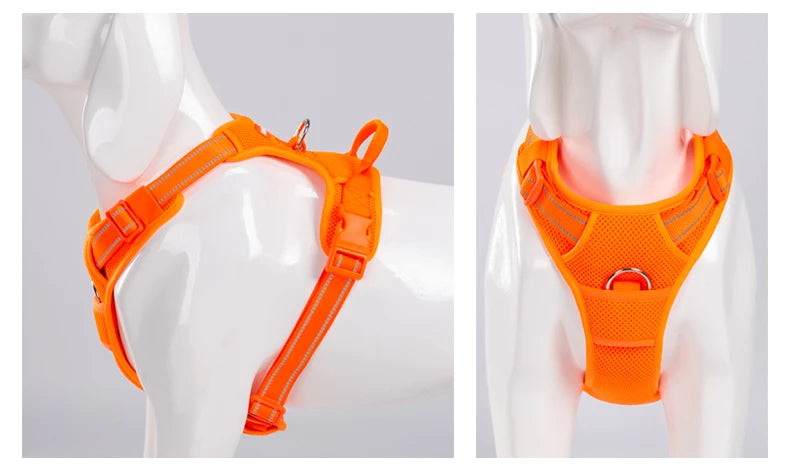 Truelove Reflective Padded Dog Harness With Quick Release Safety Strap