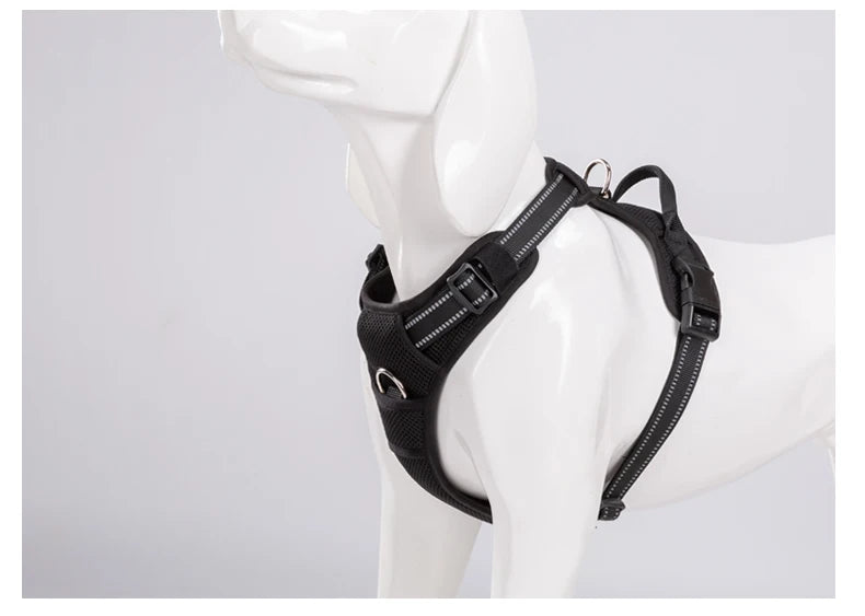 Truelove Reflective Padded Dog Harness With Quick Release Safety Strap