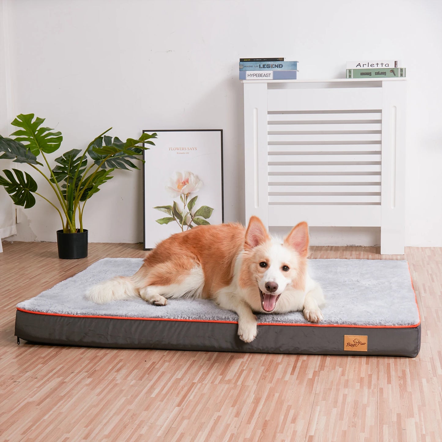BINGOPAW Orthopedic Dog Bed Waterproof Memory Foam With Removable Cover