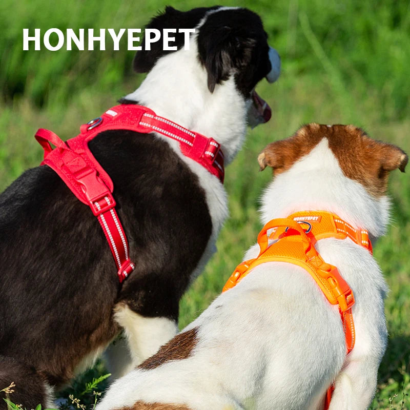 Truelove Reflective Padded Dog Harness With Quick Release Safety Strap