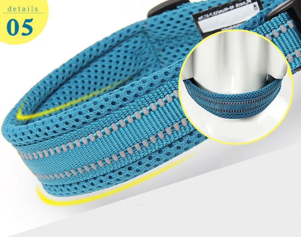 TRUELOVE Adjustable Nylon Dog Collar With Reflective Padded Design