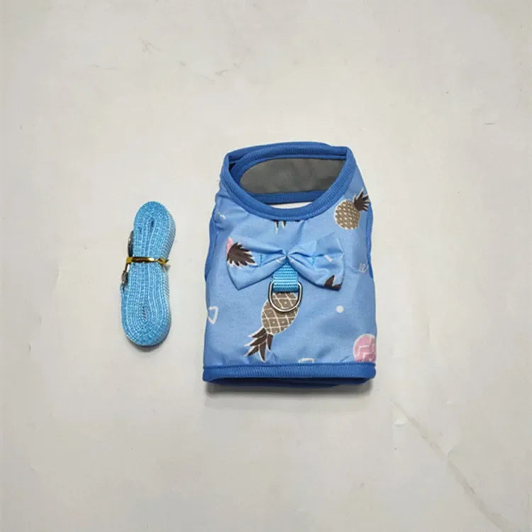 Small Animal Outdoor Walking Harness And Leash Set