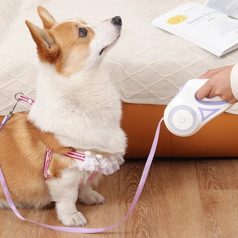 LED Luminous Automatic Retractable Dog Leash For Medium Dogs With Light