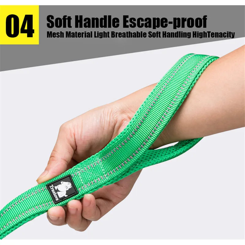Truelove Reflective Padded Nylon Pet Leash For Dogs And Cats