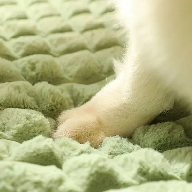 Winter Warm Dog Mat For Small Medium Dogs And Cats
