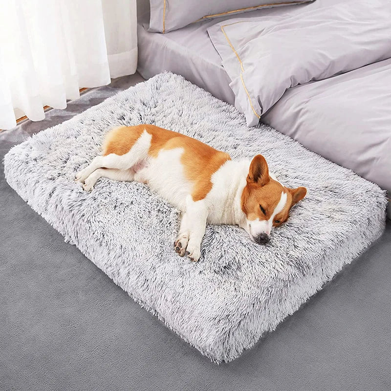 Plush Dog Bed Mat For Pets Removable Washable Cover