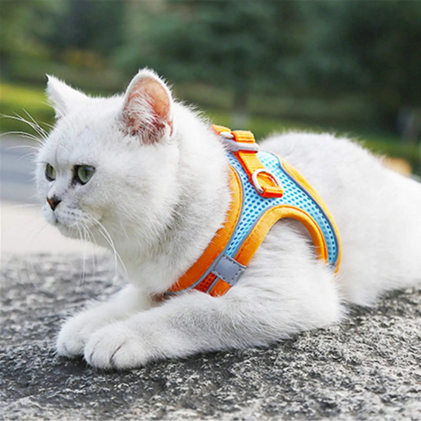 Reflective Cat Harness And Leash Set Adjustable For Cats