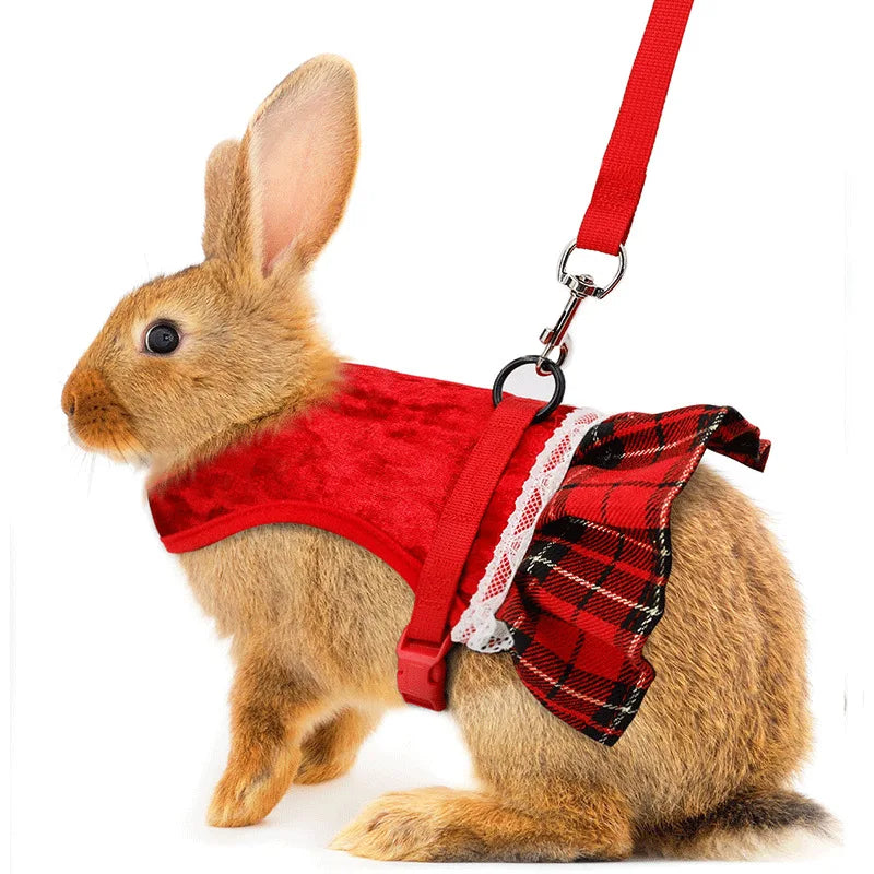 Cute Rabbit Chest Harness With Leash Pet Vest For Pets