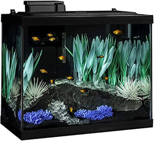 Aquarium Kit With LED Lighting Decor For Freshwater Fish