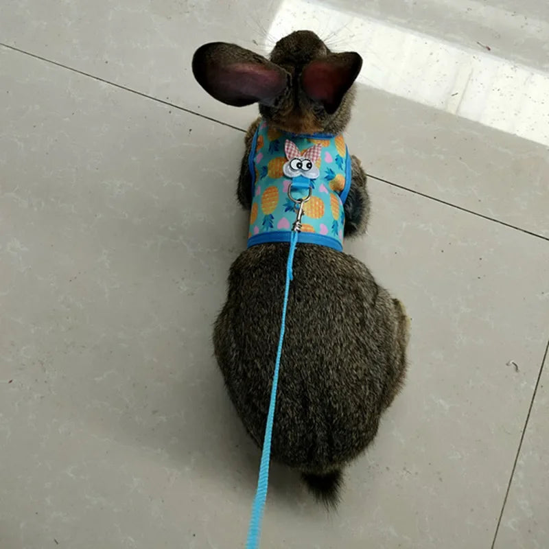 Small Animal Outdoor Walking Harness And Leash Set