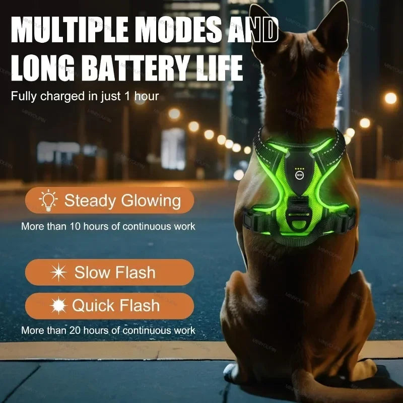 NONECN Led Luminous Dog Harness No Pull Adjustable Rechargeable Vest