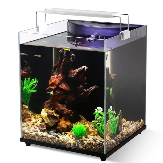 Rimless Aquarium Starter Kit With Filter And Adjustable Lighting