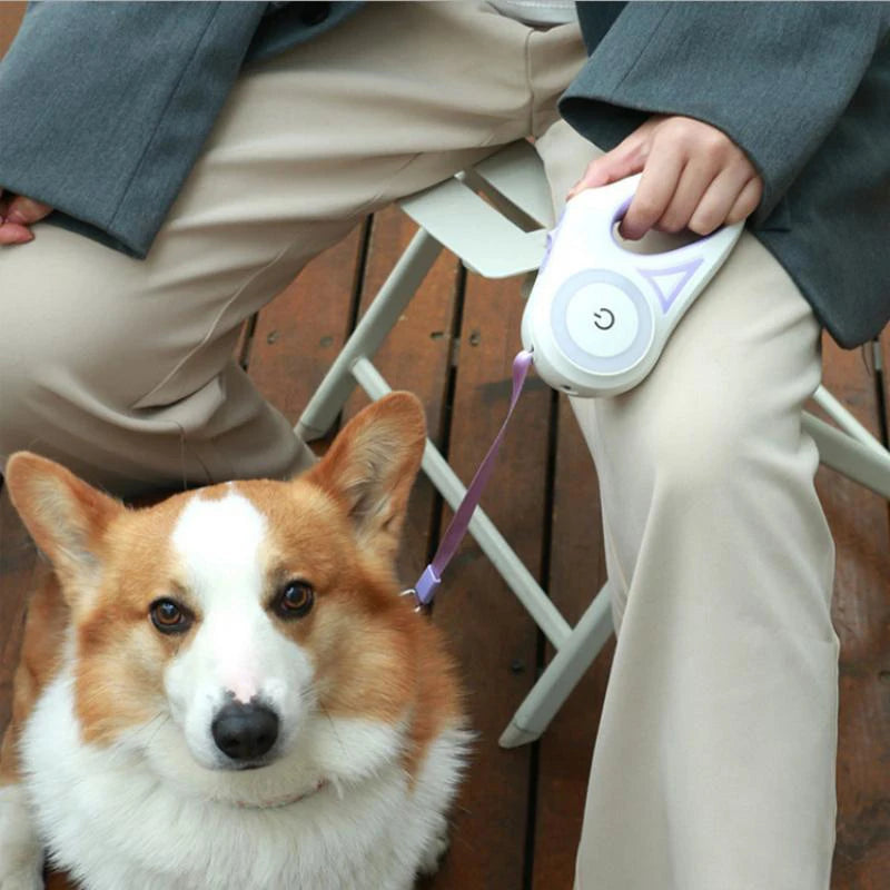 LED Luminous Automatic Retractable Dog Leash For Medium Dogs With Light