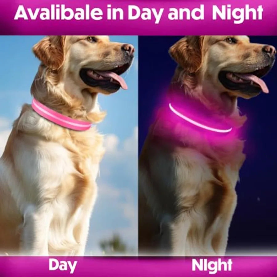 Light Up Reflective Dog Collar Adjustable and Rechargeable