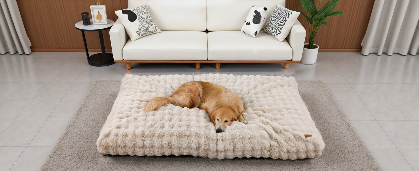 BINGOPAW Ultra Soft Dog Bed With Removable Cover Machine Washable