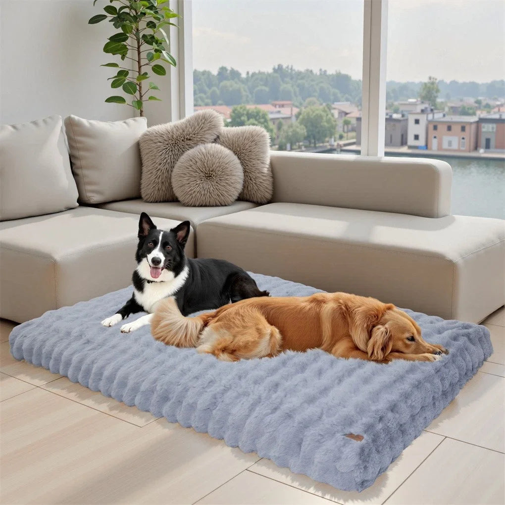 BINGOPAW Ultra Soft Dog Bed With Removable Cover Machine Washable