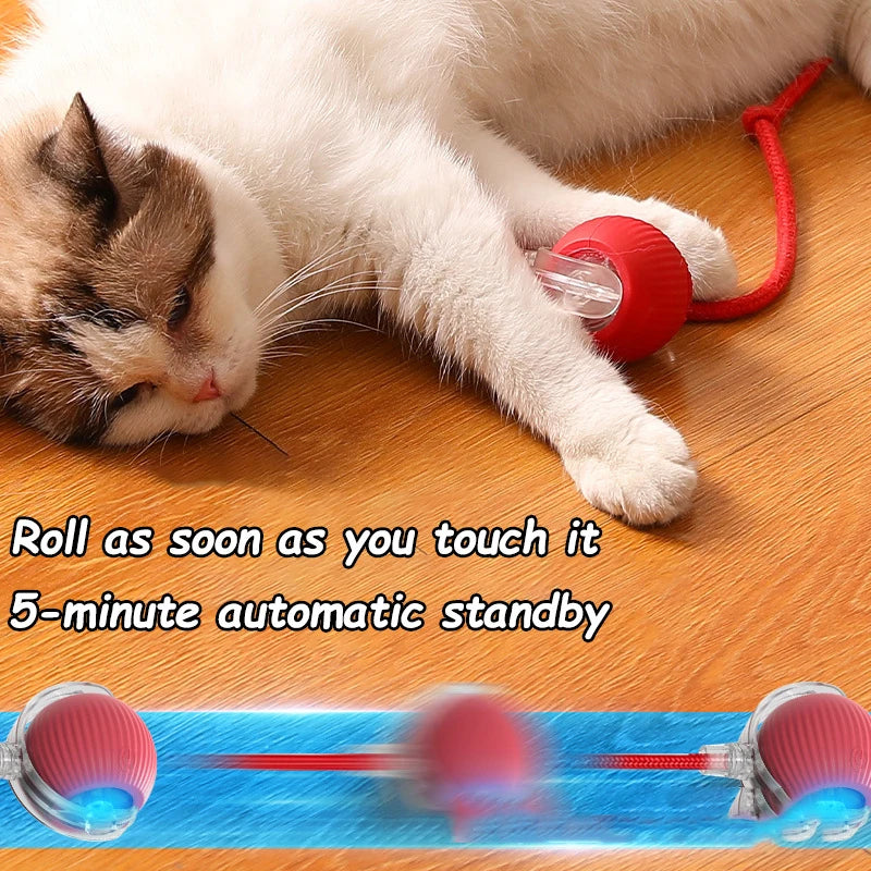 Automatic Rechargeable Rolling Ball Interactive Cat Toy