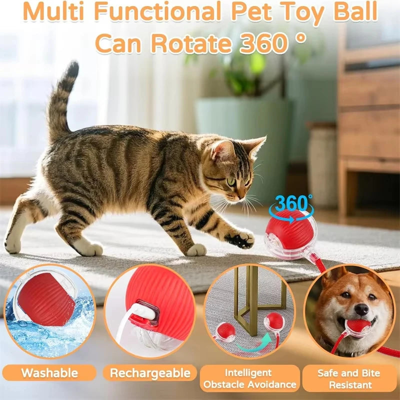 Automatic Rechargeable Rolling Ball Interactive Cat Toy