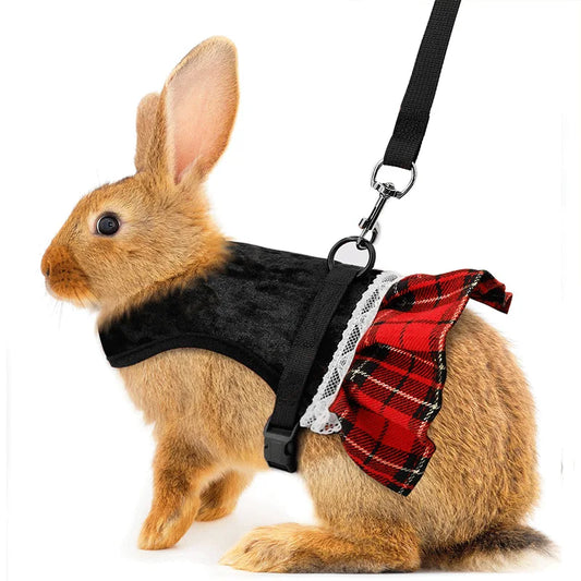 Cute Rabbit Chest Harness With Leash Pet Vest For Pets