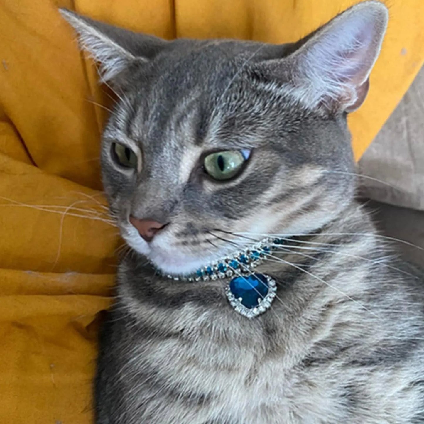 Rhinestone Diamante Dog Cat Collar Necklace Crystal Bling