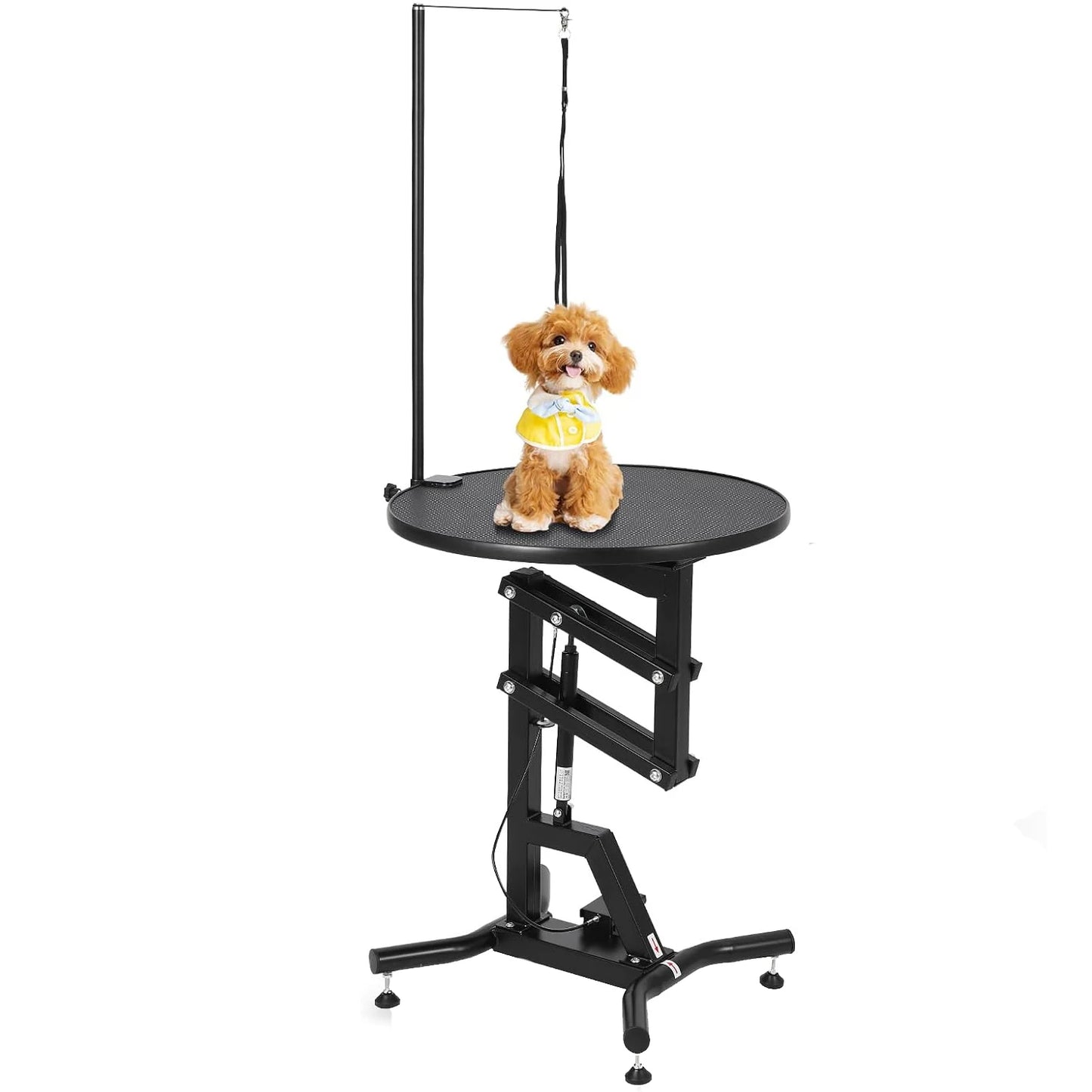 HiMISS Hydraulic Dog Grooming Table With 360 Degree Rotating Arm