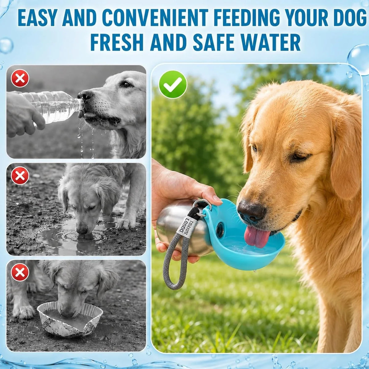 Portable Pet Water Dispenser With Foldable Bowl For Dogs and Cats