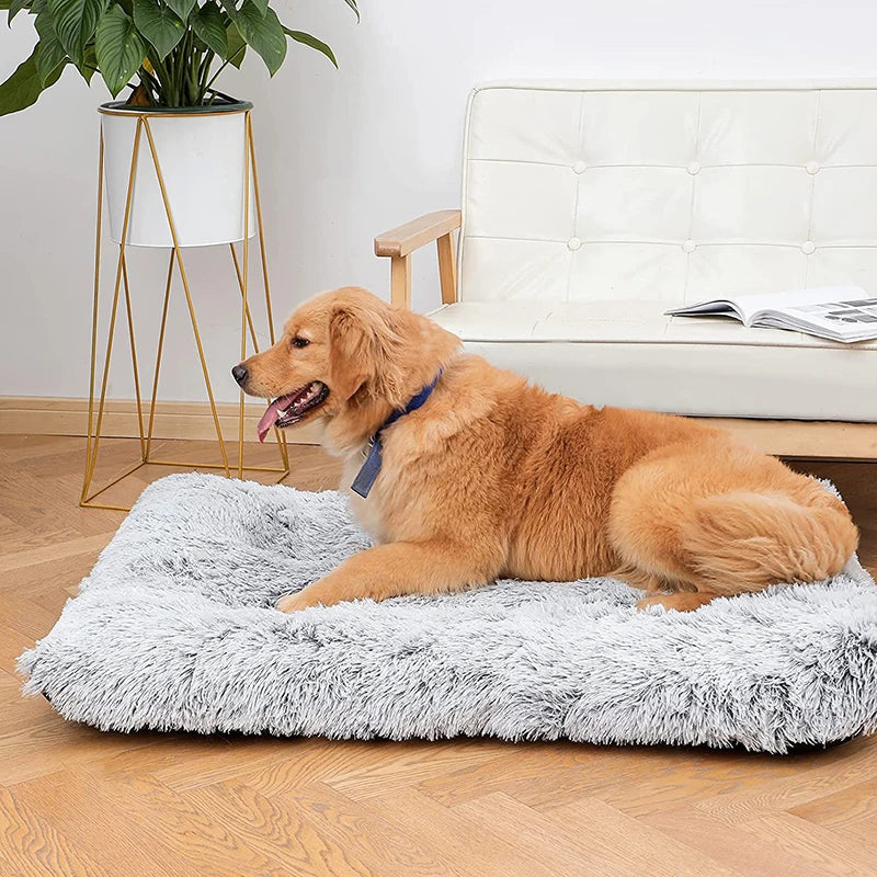 Plush Dog Bed Mat For Pets Removable Washable Cover