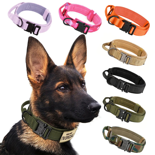 PETRAVEL Tactical Dog Training Collar Leash Set With Control Handle