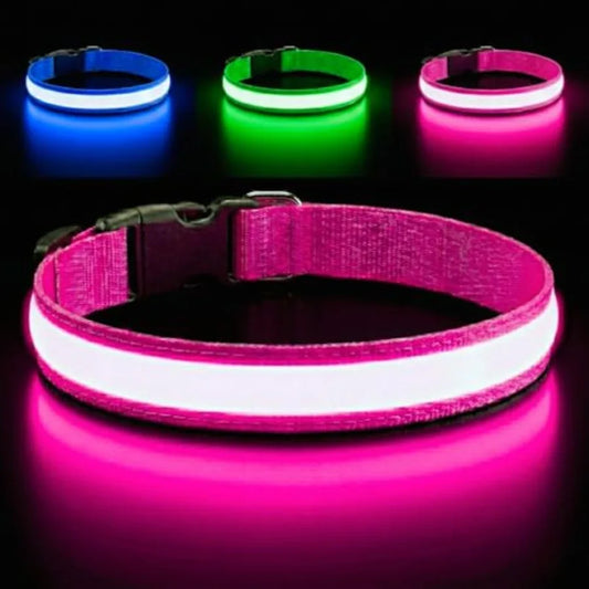 Light Up Reflective Dog Collar Adjustable and Rechargeable