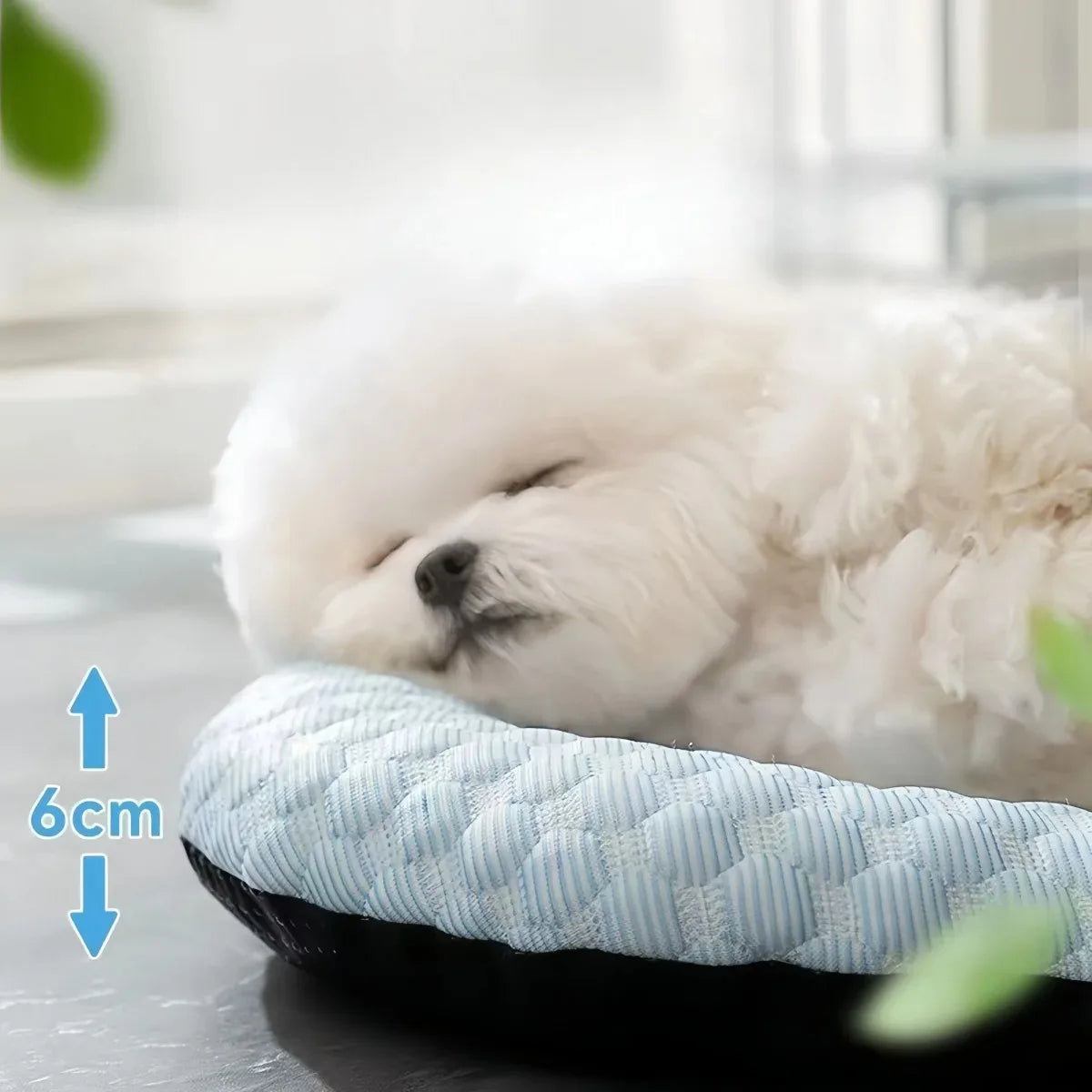 BeiYu Pet Cooling Mat For Dogs Summer Kennel Sofa Bed