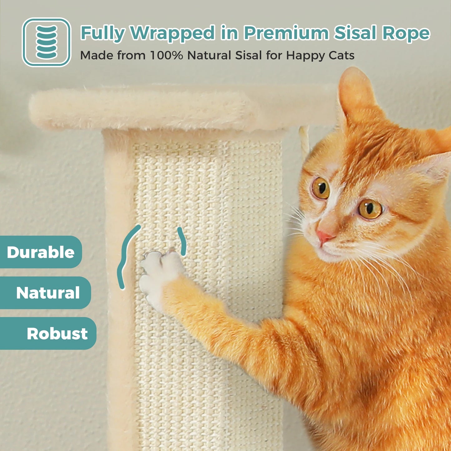 PAWZ Road Cat Scratching Post for Indoor Cats Durable Toy