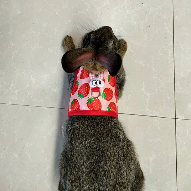 Small Animal Outdoor Walking Harness And Leash Set