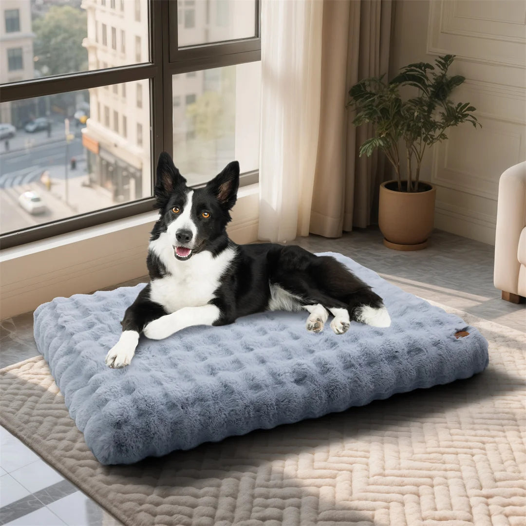 BINGOPAW Ultra Soft Dog Bed With Removable Cover Machine Washable