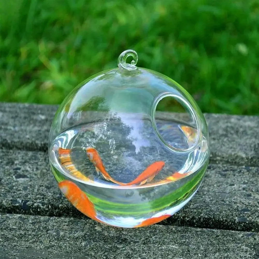 Hanging Glass Fish Bowl With Rack Holder Home Decoration