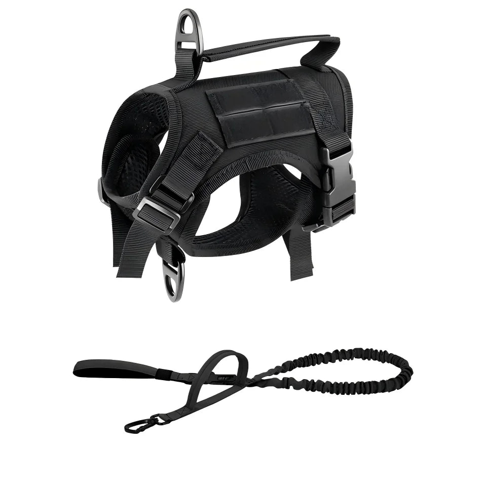 PETRAVEL Tactical Cat Harness Vest and Leash Set for Walking