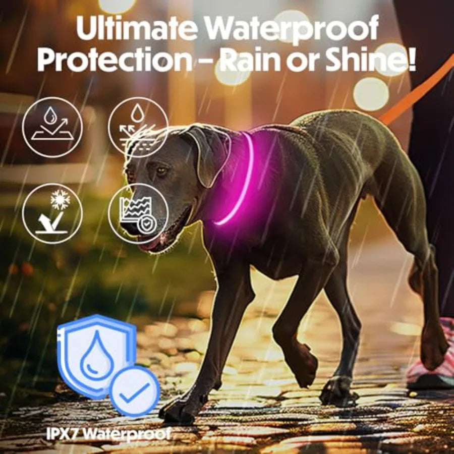 Light Up Reflective Dog Collar Adjustable and Rechargeable