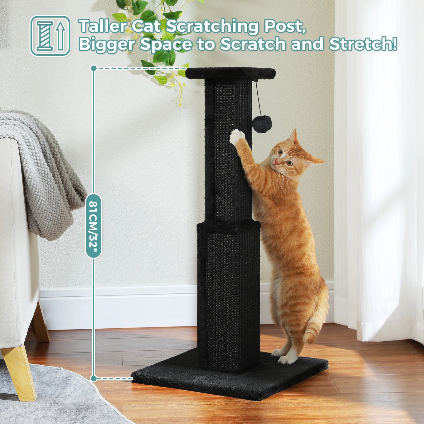 PAWZ Road Cat Scratching Post for Indoor Cats Durable Toy