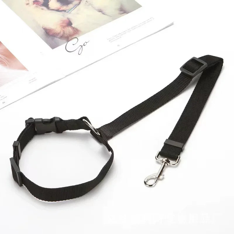 TwoInOne Pet Car Seat Belt Nylon Lead Leash System