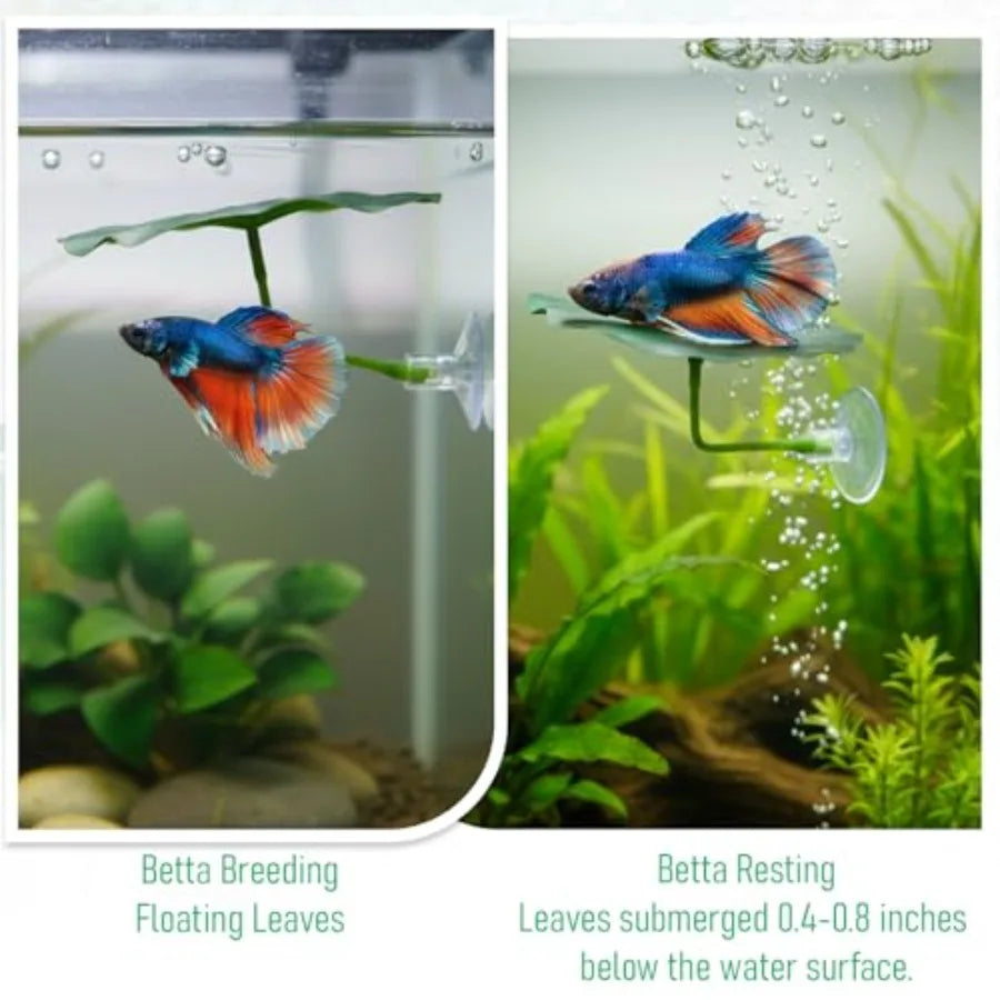 SHXI Betta Fish Leaf Hammock Aquarium Resting Spot Decoration