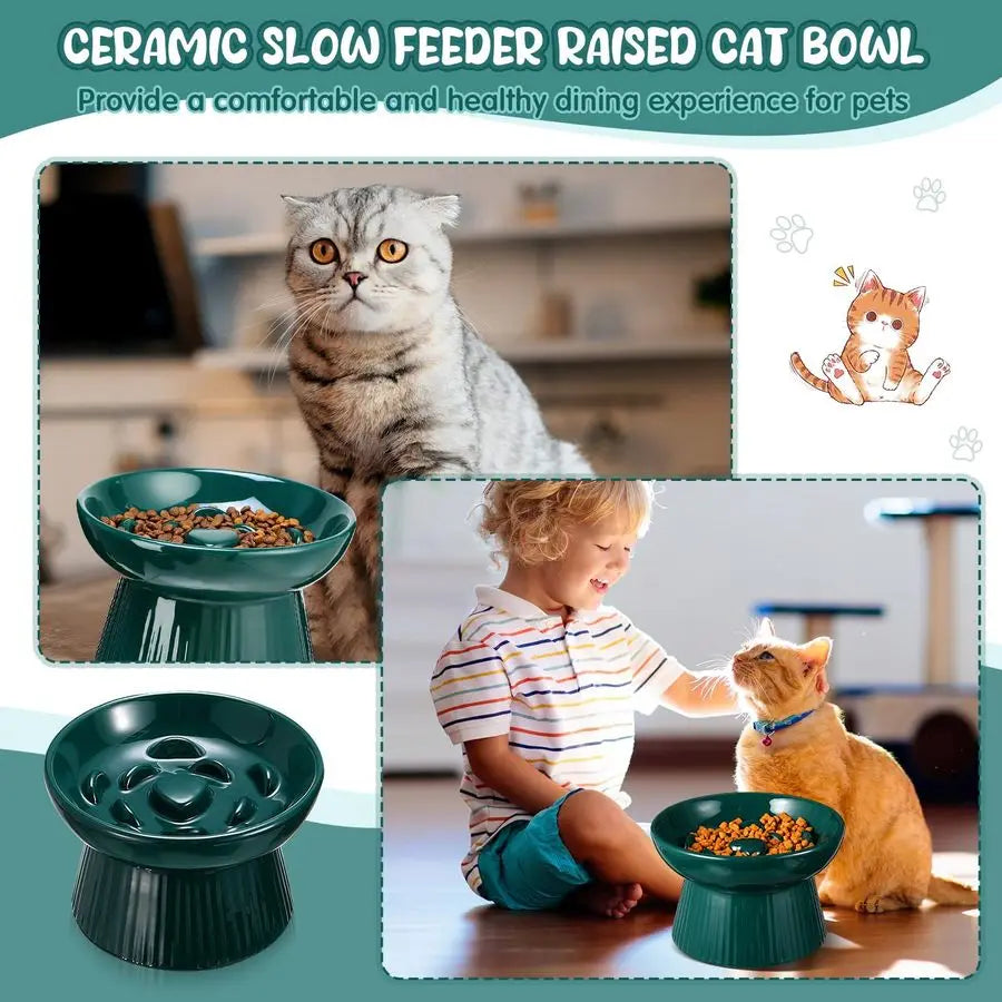 Raised Cat Slow Feeder Bowls Ceramic Elevated No Spill 2Pack