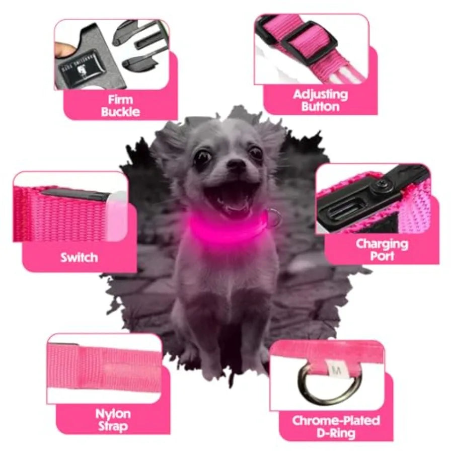 Light Up Reflective Dog Collar Adjustable and Rechargeable