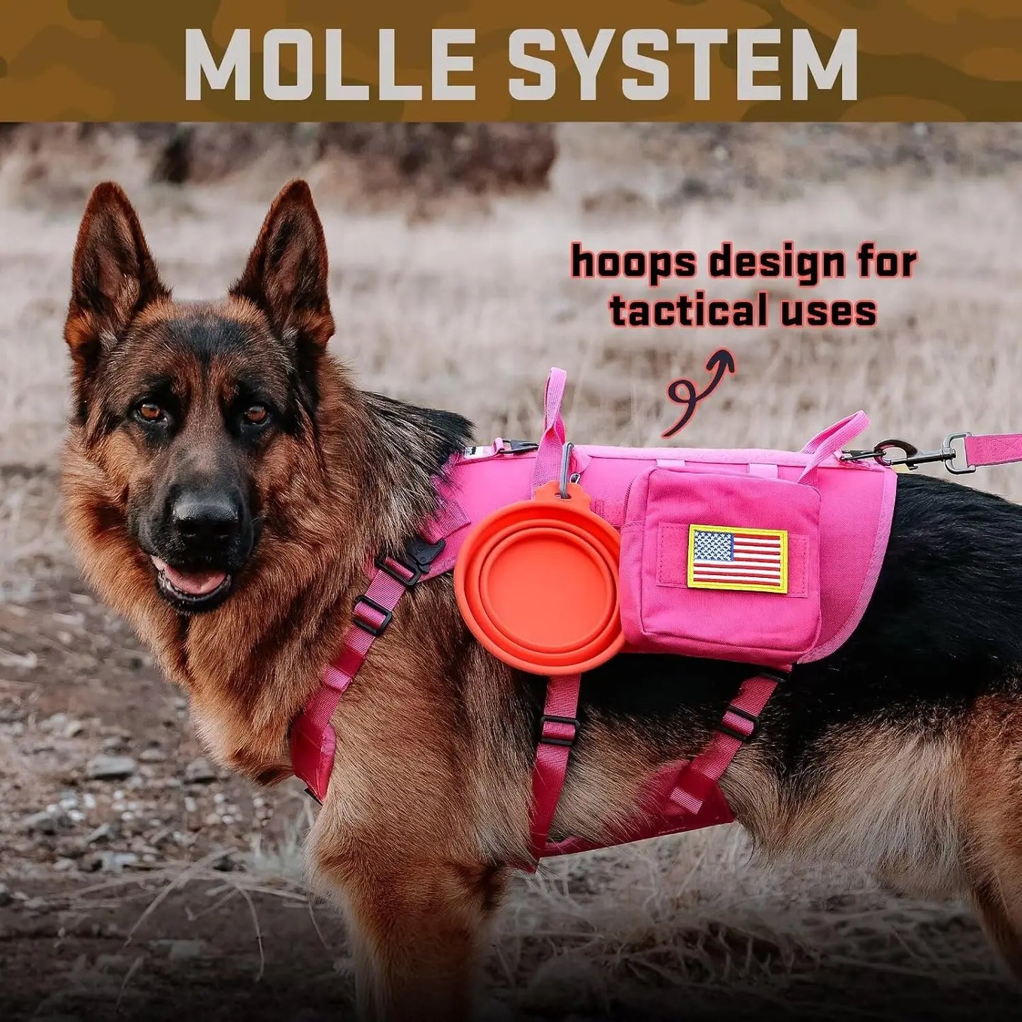 Tactical Dog Harness With Collar And Bungee Leash Set