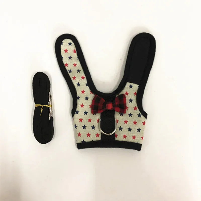 Small Animal Outdoor Walking Harness And Leash Set