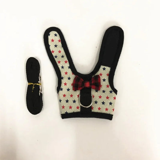 Small Animal Outdoor Walking Harness And Leash Set