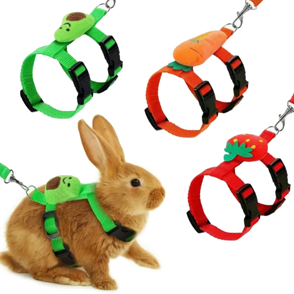 Findixpet Rabbit Cat Harness And Leash Set For Small Pets