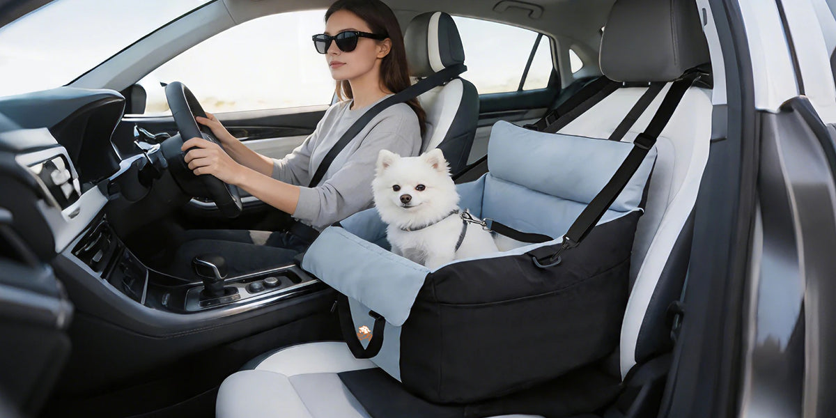 Borwart Portable Dog Booster Seat With Safety Belt And Cover